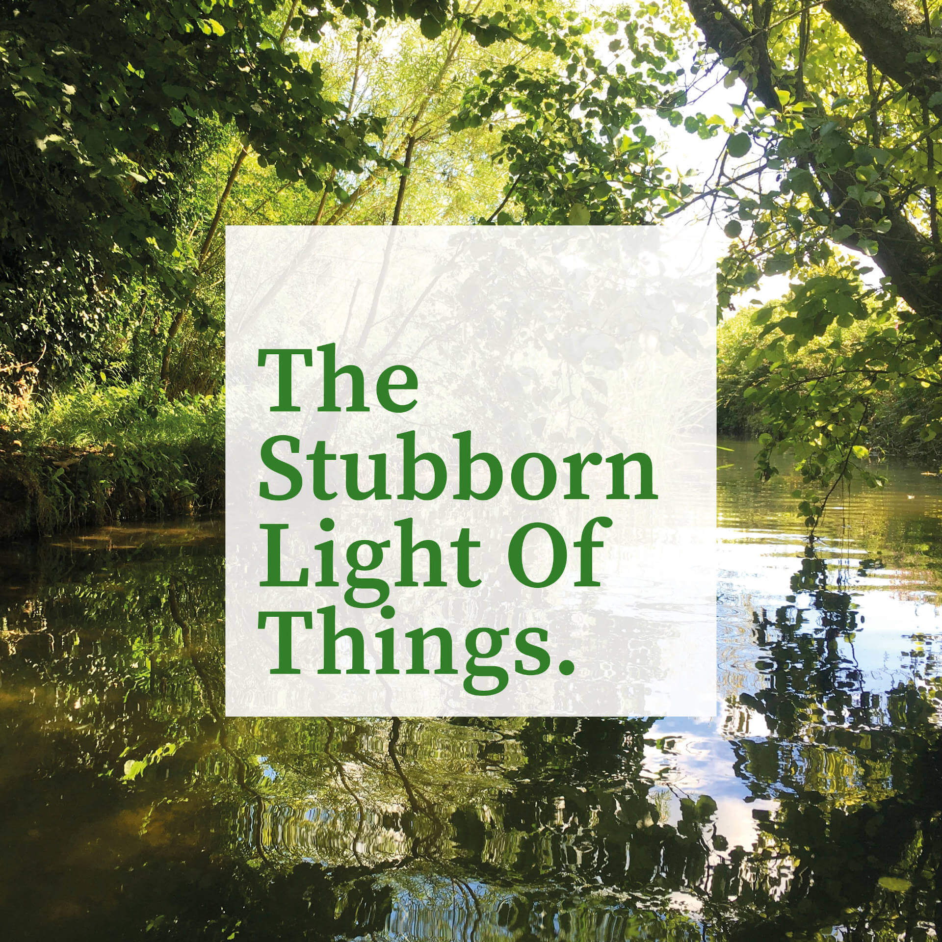 The Stubborn Light of Things