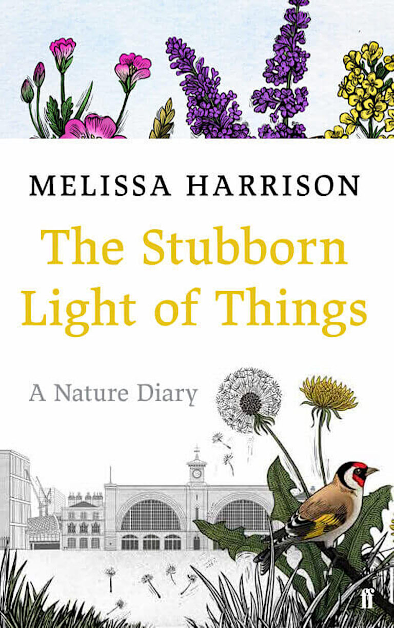 The Stubborn Light of Things by Melissa Harrison